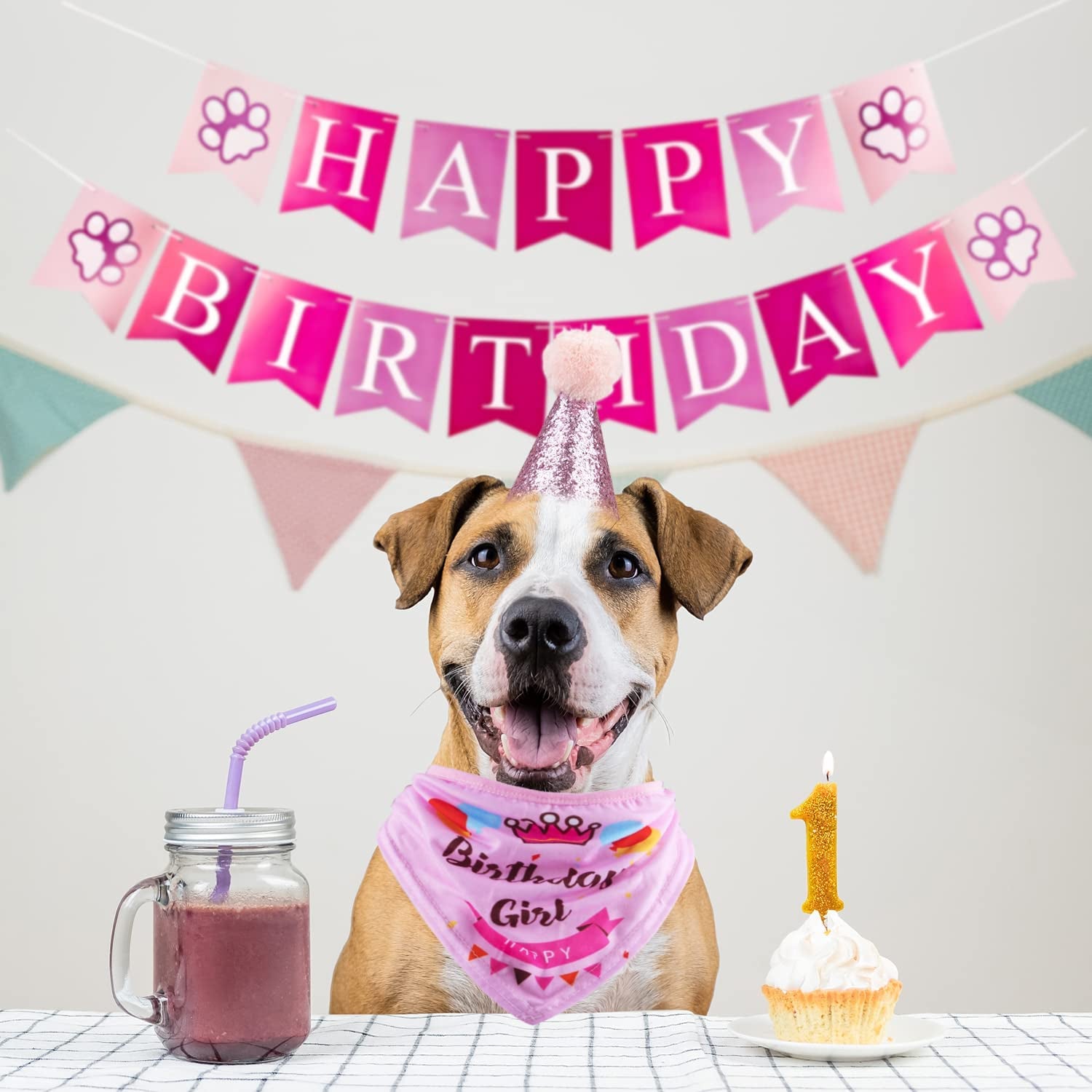 Dog Birthday Party Supplies Bandana Hat Banner Set Boy Girl Cute Bow Tie Scarf Dog Birthday Decorations (Pink,Dog Girl)
